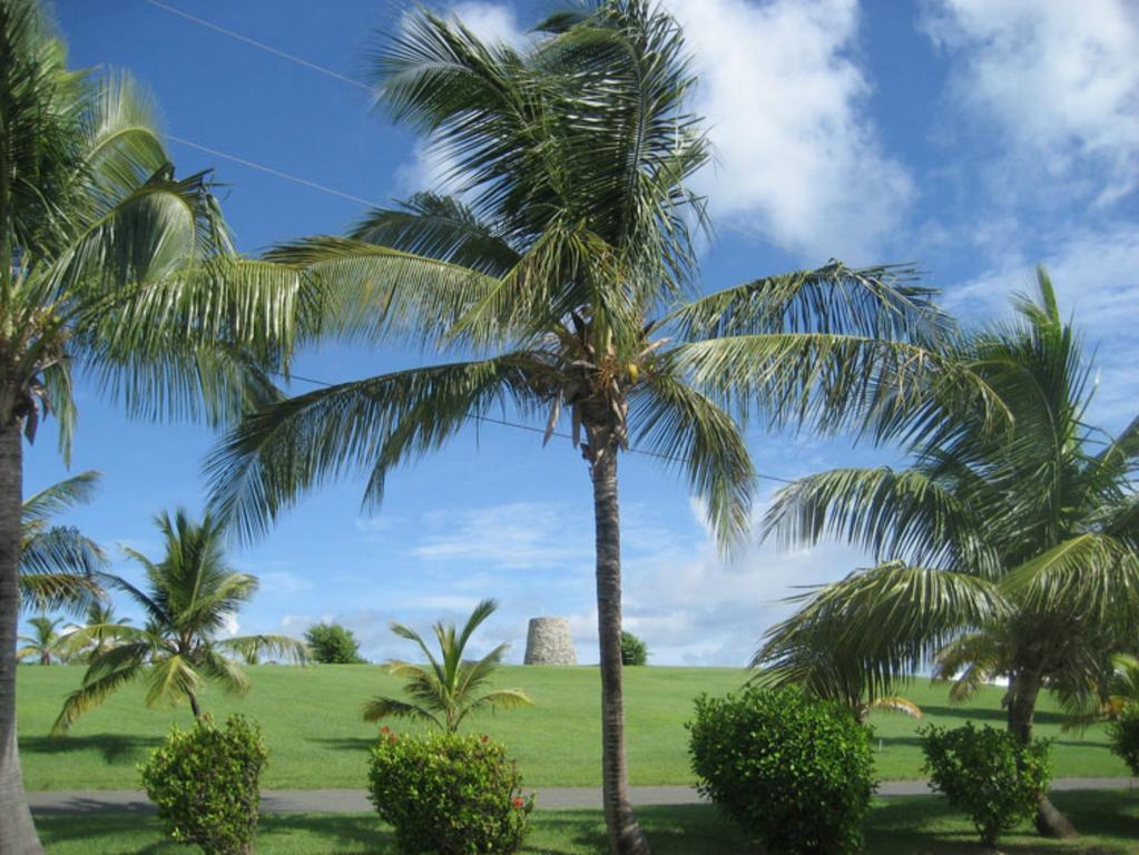 Tamarind Reef Resort Spa & Marina Christiansted Exterior photo